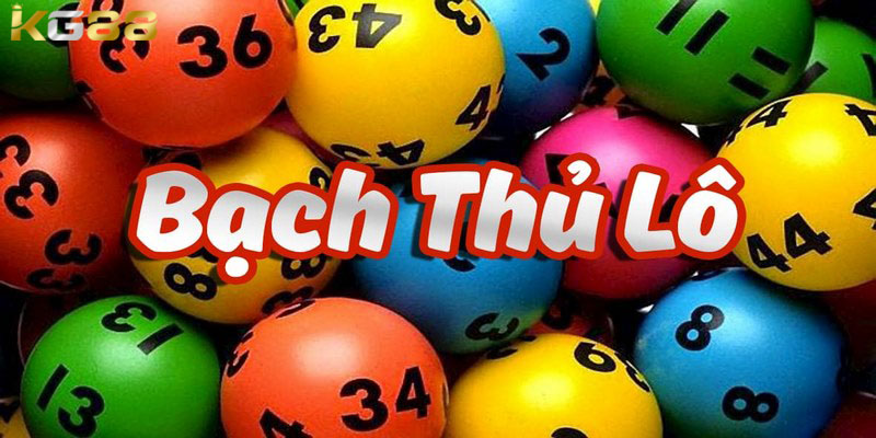 Cách thức bắt bạch thủ lô là gì theo hình quả trám