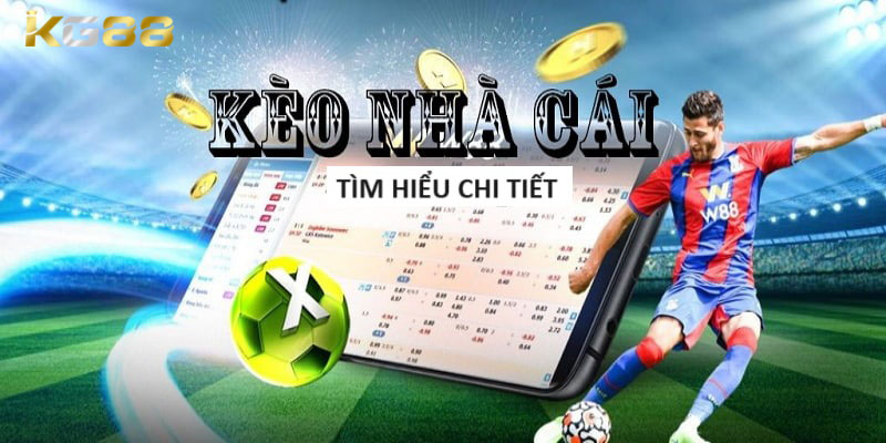 Kèo nhà cái mang đến những thông tin hữu ích cho người chơi 