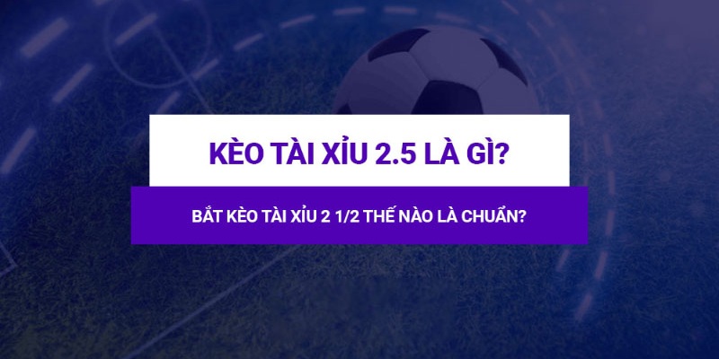 kèo tài xỉu 2.5 trái là gì