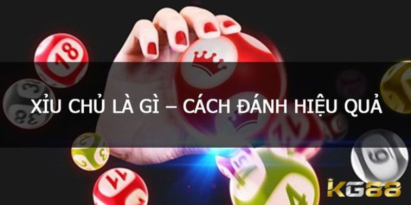 Cách đánh xỉu chủ cực đơn giản